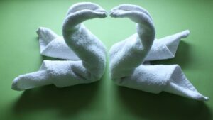towel swan step