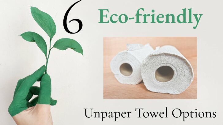 paper towel alternatives
